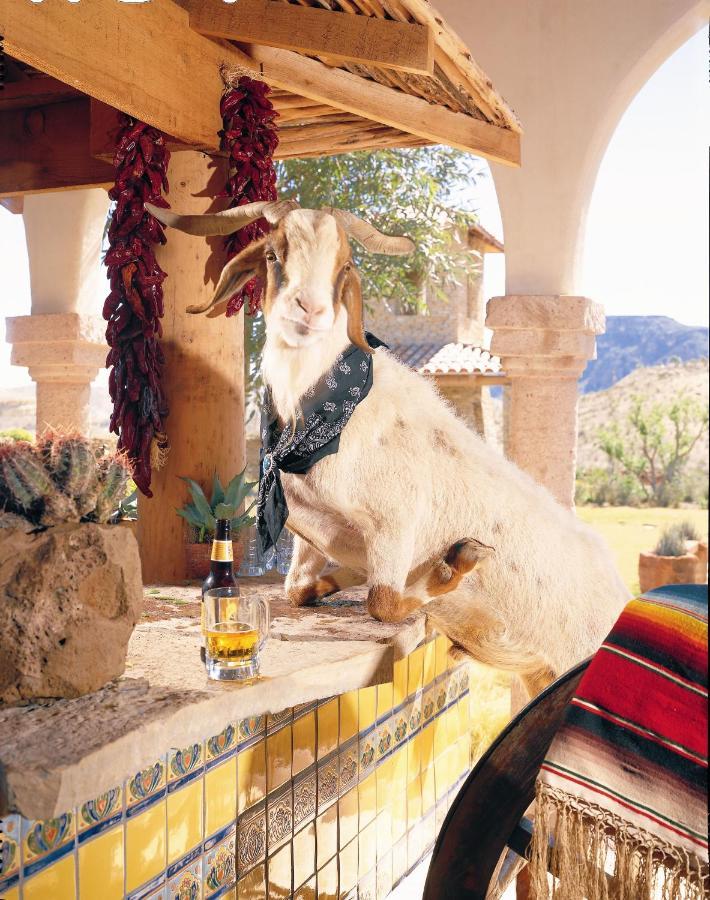 Lajitas Golf Resort Terlingua Εξωτερικό φωτογραφία